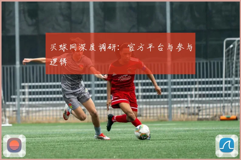 买球网深度调研：官方平台与参与逻辑
